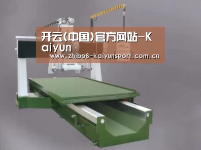 产品名称十