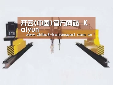产品名称十七