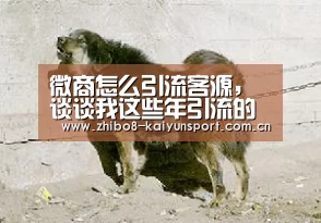 微商怎么引流客源,谈谈我这些年引流的履历【开云中国官网】(图2) 开云综合服务