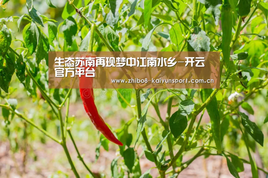 生态苏南再现梦中江南水乡-开云官方平台
